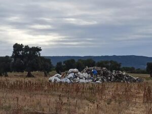 Ostuni, discarica abusiva lungo la SP 19 in zona Pilone. Giuseppe Tanzarella: ‘Un vero e proprio atto delinquenziale, prevista subito la bonifica dell’area’