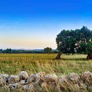 Ostuni, interventi integrati per la valorizzazione della Via Francigena nel territorio: il Comune candidato all’Avviso pubblico per lo sviluppo dell’offerta turistica dei cammini religiosi italiani