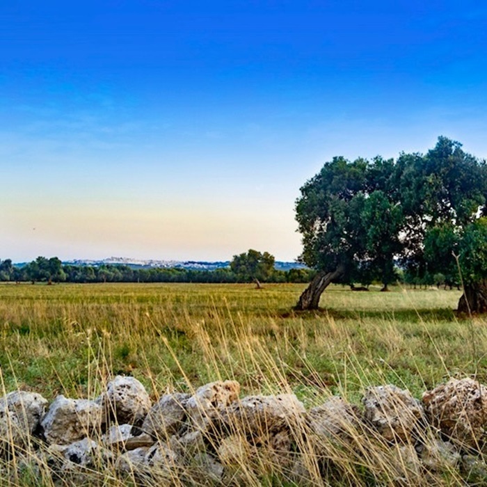 Ostuni Via Francigena