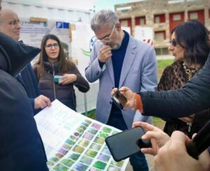 Mesagne, il quartiere Grutti–Calderoni cambia volto