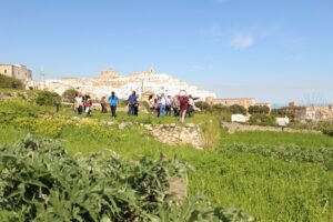 Ostuni, il 7 aprile pulizia orti in via Salvatore Tommasi